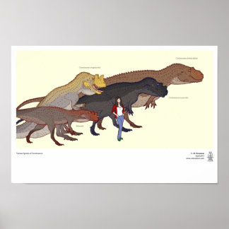 Various Ceratosaurus Species Poster