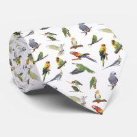 Various Colourful Parrots