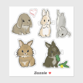 Various cute rabbits