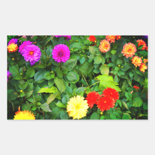 Various Dahlias #1-2 Stickers