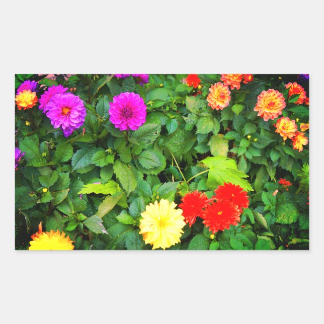 Various Dahlias #1-2 Stickers (Front)