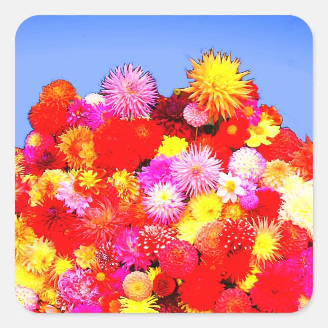 Various Dahlias #2-2 Stickers (Front)