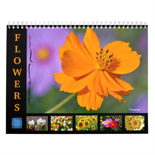 Various flowers 12 month calendar (Cover)