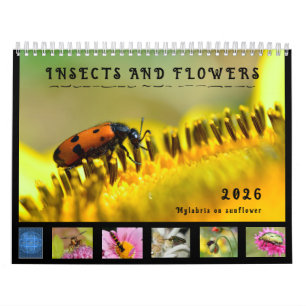 Various insects and flowers 12 month calendar