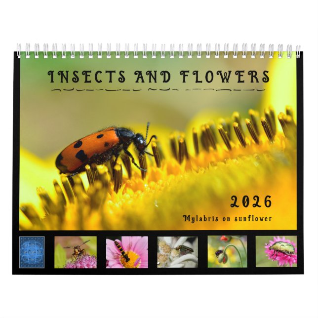 Various insects and flowers 12 month calendar (Cover)