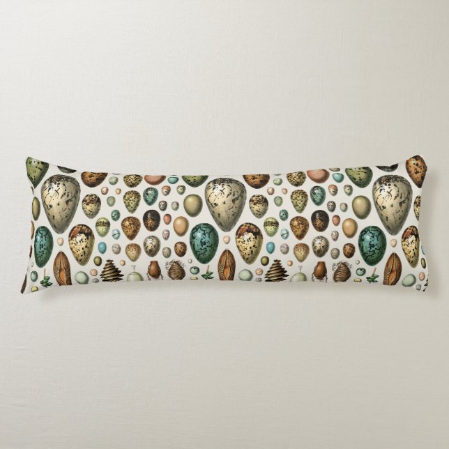 Various kinds of Egg Scientific Illustration Body Cushion (Front)