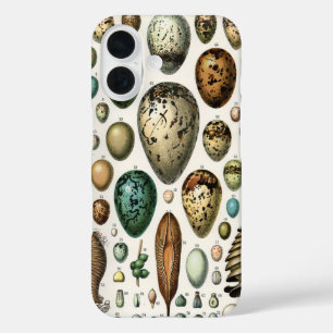 Various kinds of Egg Scientific Illustration iPhone 16 Case