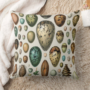 Various kinds of Egg Scientific Illustration Cushion