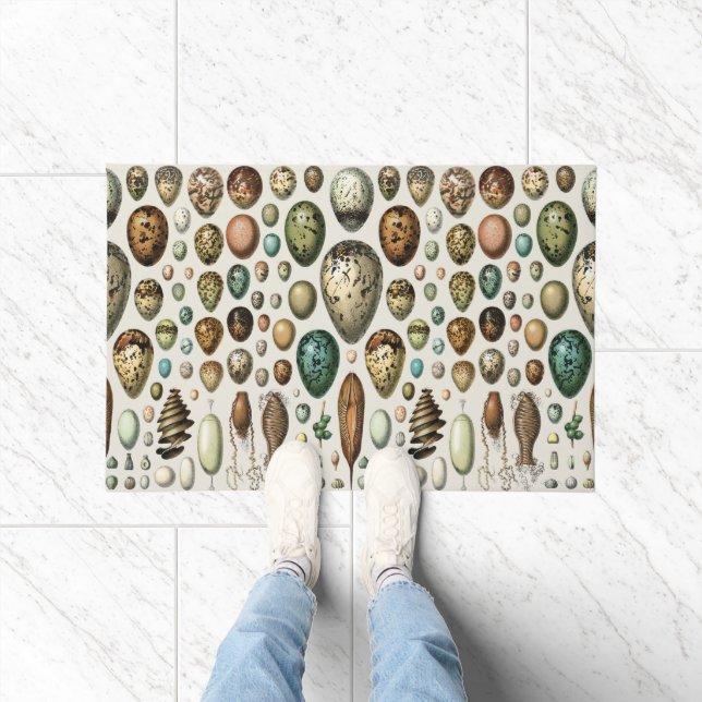 Various kinds of Egg Scientific Illustration Doormat (Indoor)