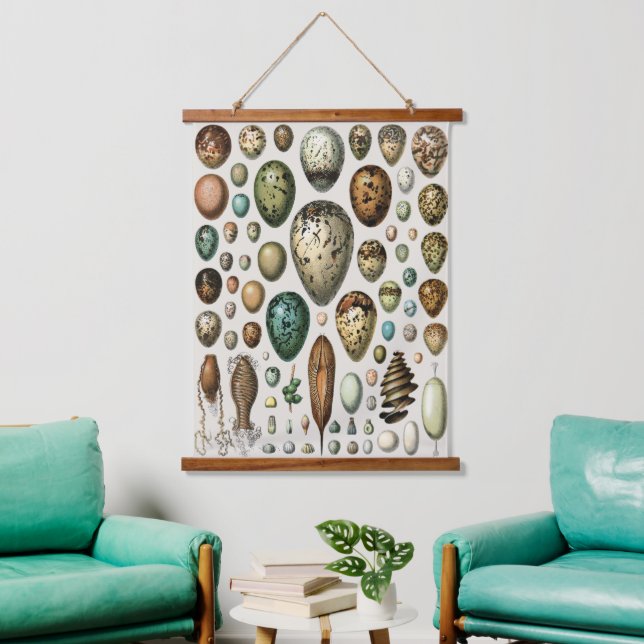 Various kinds of Egg Scientific Illustration Hanging Tapestry (Living Room)