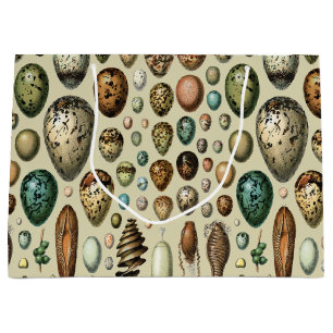 Various kinds of Egg Scientific Illustration Large Gift Bag