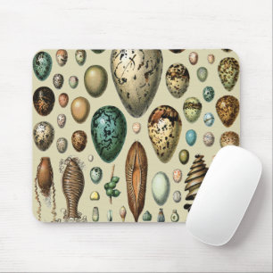 Various kinds of Egg Scientific Illustration Mouse Pad