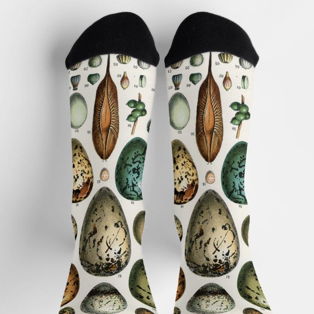Various kinds of Egg Scientific Illustration Socks (Top)