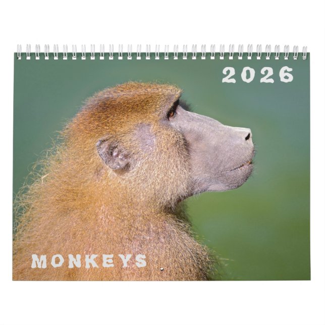 Various monkeys calendar (Cover)