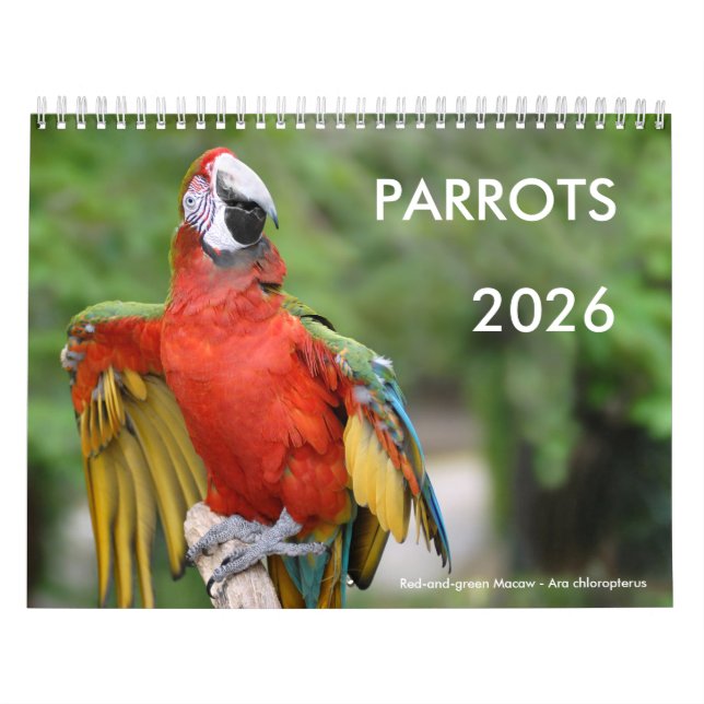 Various parrots calendar (Cover)