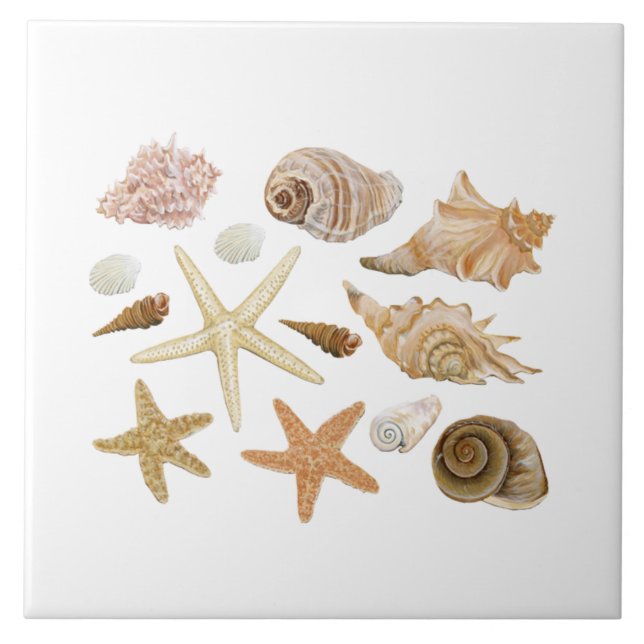 Various seashells starfish ceramic tile (Front)