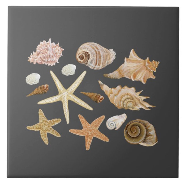 Various seashells starfish ceramic tile (Front)