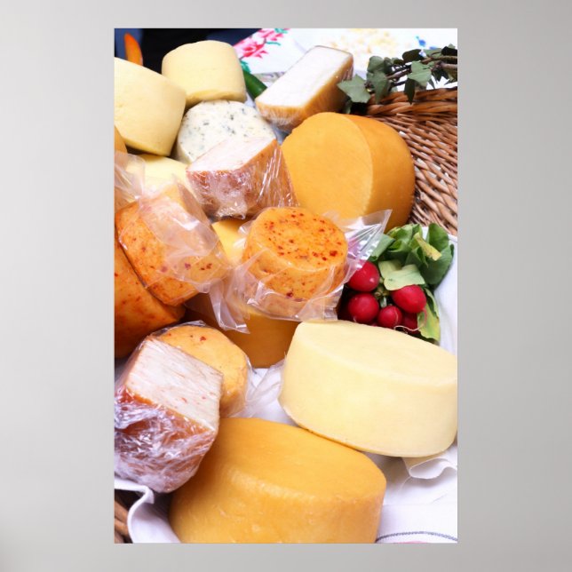 Various species of cheese poster (Front)