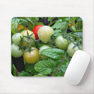 Various Stages of Ripening Cherry Tomatoes Mouse Pad