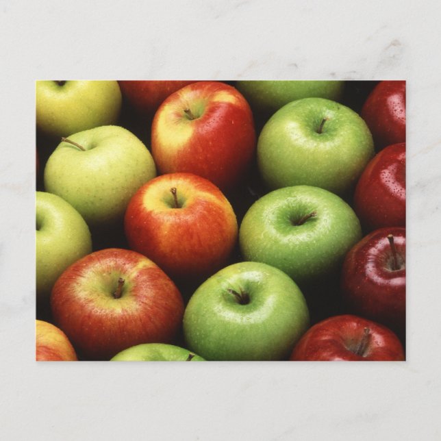 Various Types of Apples Postcard (Front)