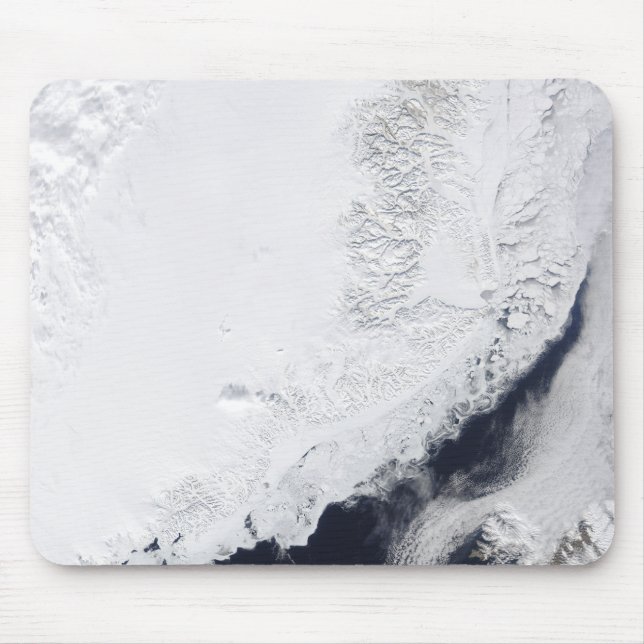 Various types of sea ice mouse pad (Front)
