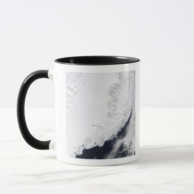 Various types of sea ice mug (Left)