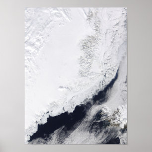 Various types of sea ice poster