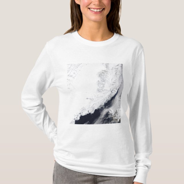 Various types of sea ice T-Shirt (Front)