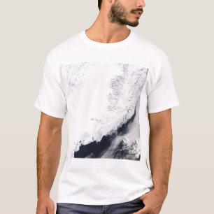 Various types of sea ice T-Shirt