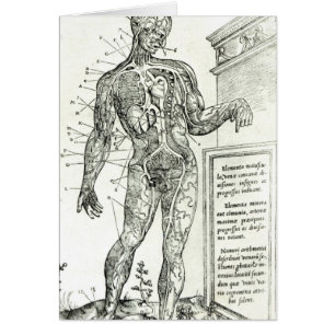 Vascular System according to Charles Etienne