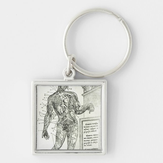 Vascular System according to Charles Etienne Key Ring (Front)