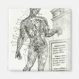Vascular System according to Charles Etienne Magnet