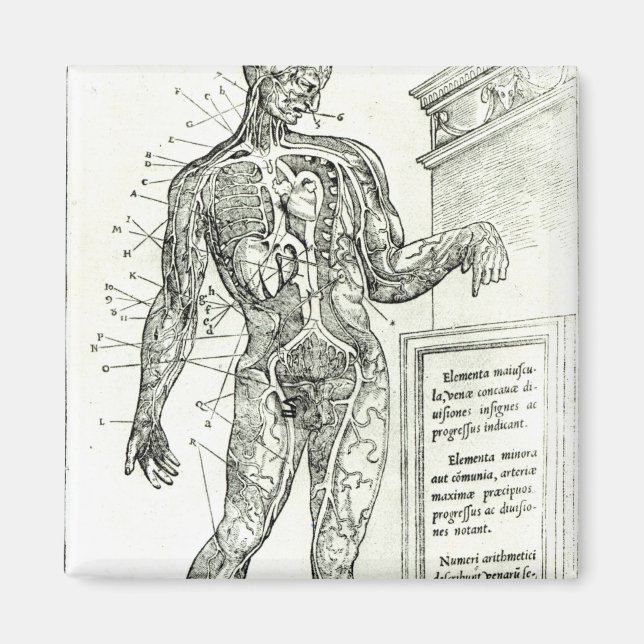 Vascular System according to Charles Etienne Magnet (Front)