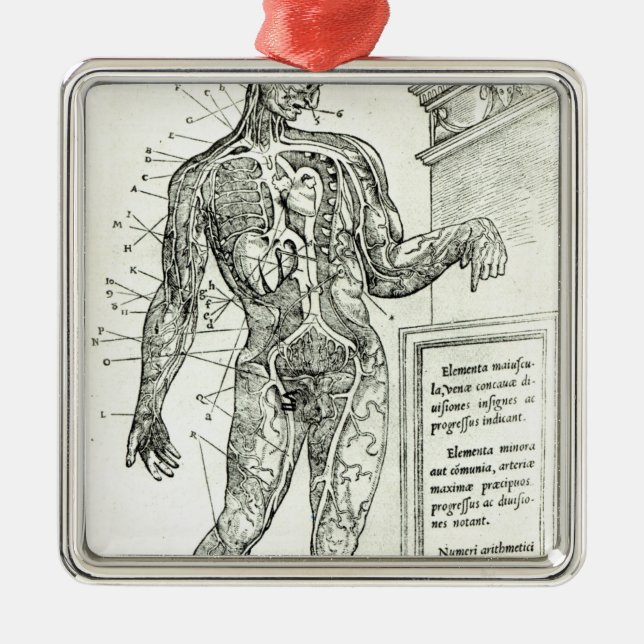 Vascular System according to Charles Etienne Metal Tree Decoration (Front)