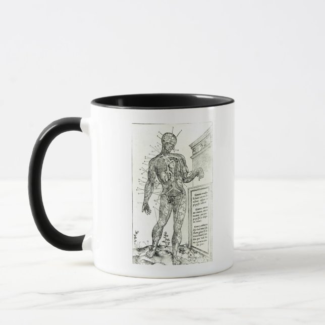 Vascular System according to Charles Etienne Mug (Left)