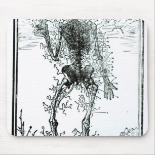 Vascular System of the Body Mouse Pad