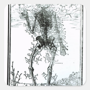 Vascular System of the Body Square Sticker