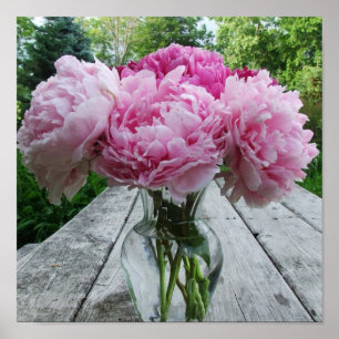 Vase of Pink Peonies Poster Print