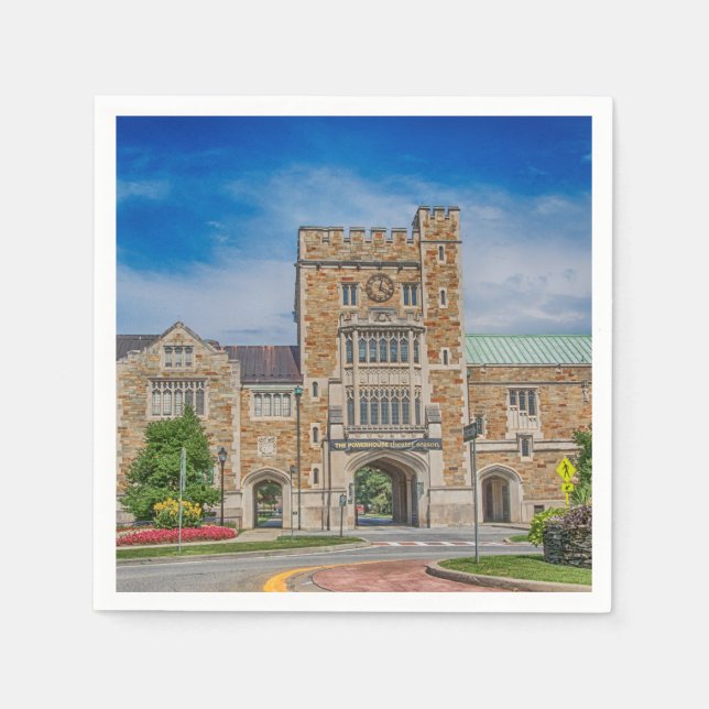 Vassar College Main Entrance in NY Napkin (Front)