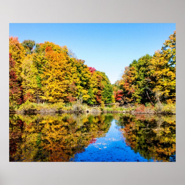 Vassar Farms Pond Poster (Front)
