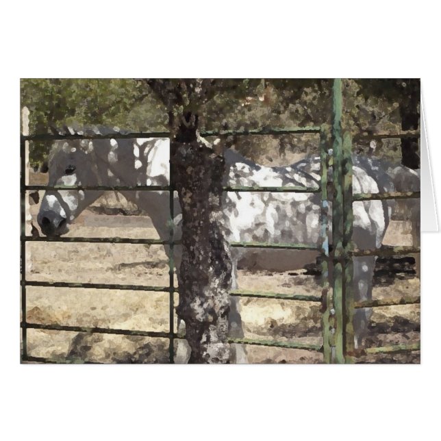 "Vato" Arabian Horse (Front Horizontal)