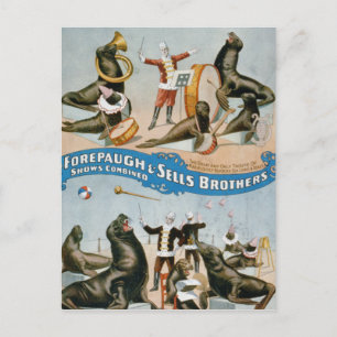 Vaudeville, Circus shows Postcard