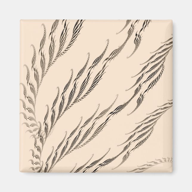 Vchira959 Magnet (Front)