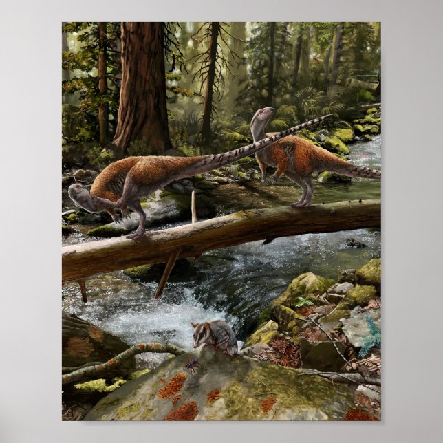 Vectidromeus Pair Print (Front)