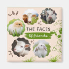 Vegan Faces of Friends Magnet