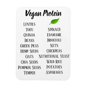 Vegan High Sources of Protein Foods Magnet