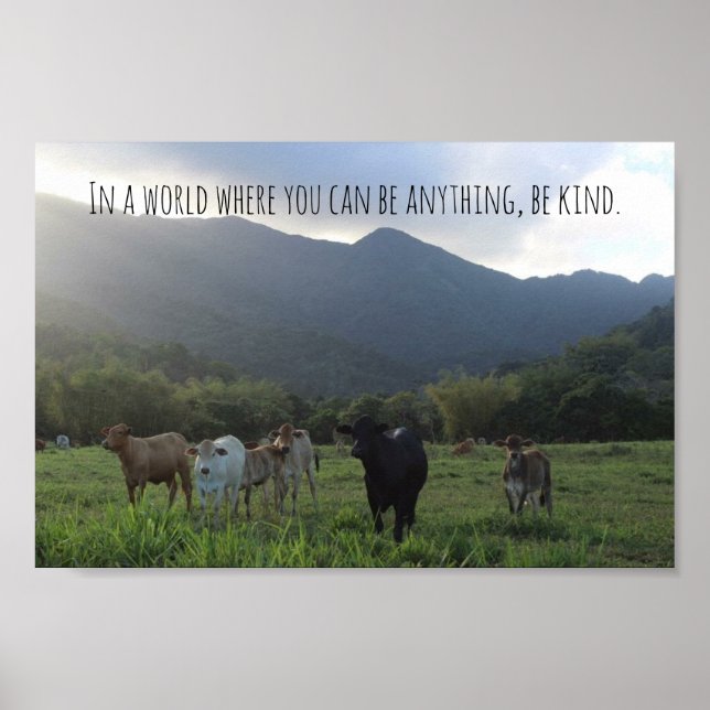 Vegan Kindness poster (Front)