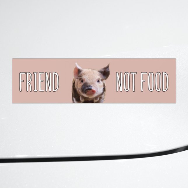 Vegan saying "Friend not food" cute piglet Bumper Sticker (Creator Uploaded)