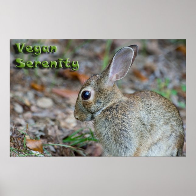 Vegan Serenity Bunny Poster (Front)