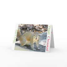 Vegan squirrel Christmas card